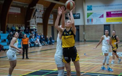 Den Helder, Grasshoppers, Binnenland, Lions naar halve finales play-offs WBL