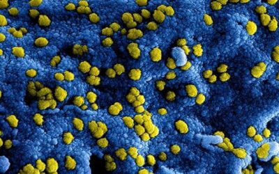 Geen competitie tot en met het weekend van 7/8 november 2020