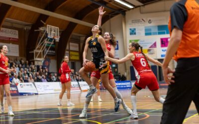 WBL Finals 2025: preview Grasshoppers – lions